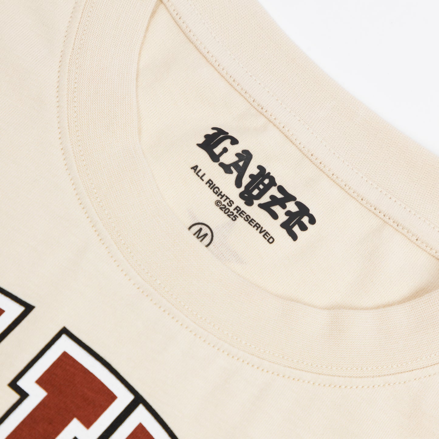 Delulu University Student Uniform T-Shirt