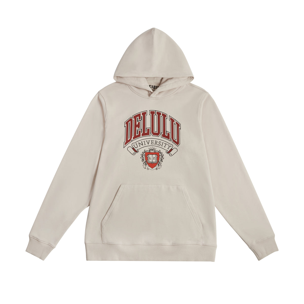 Delulu University Official Hoodie